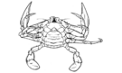 Drawing of a Blue Swimmer Crab / Sand Crab